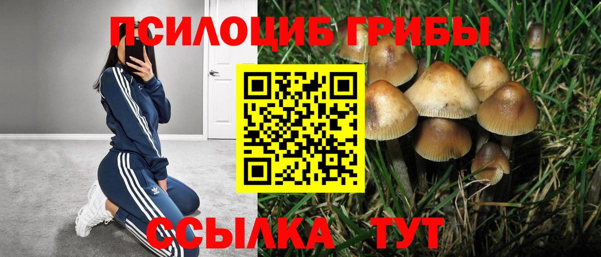 Псилоцибиновые грибы Magic Shrooms Гусиноозёрск